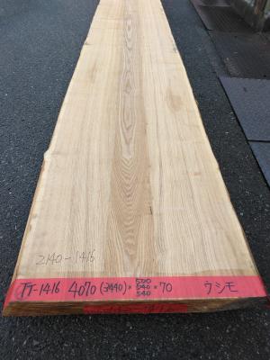 タモ　1416
