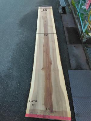 杉　TS-1038