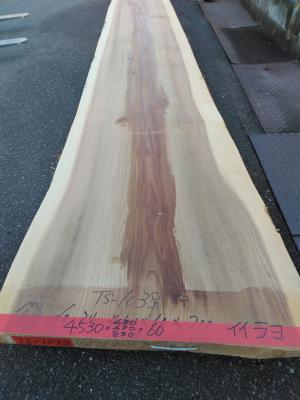 杉　TS-1038