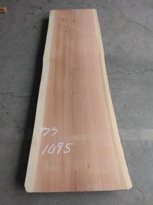 杉　TS-1095