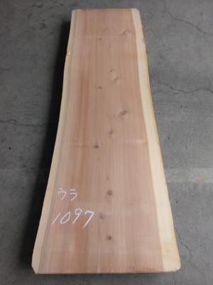 杉　TS-1097