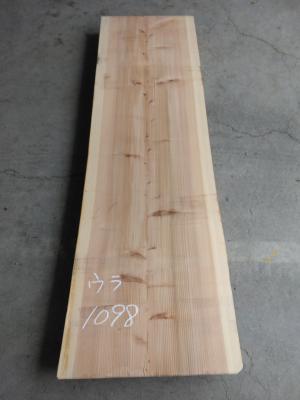 杉　TS-1098