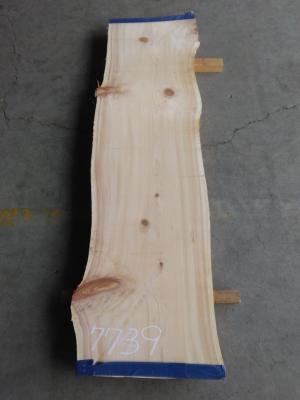 桧　TH-7739