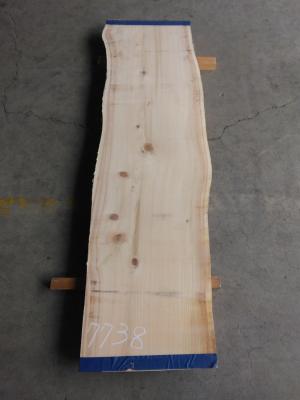 桧　TH-7738