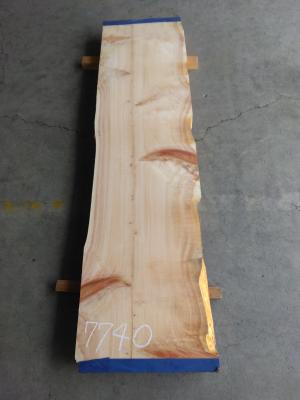 桧　TH-7740