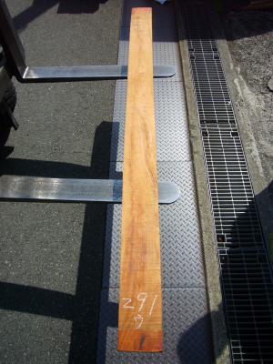 ケヤキ　TK-291