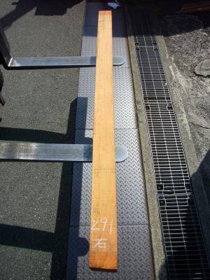 ケヤキ　TK-291