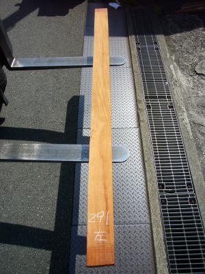 ケヤキ　TK-291