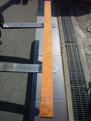 ケヤキ　TK-294