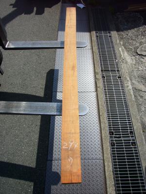 ケヤキ　TK-294