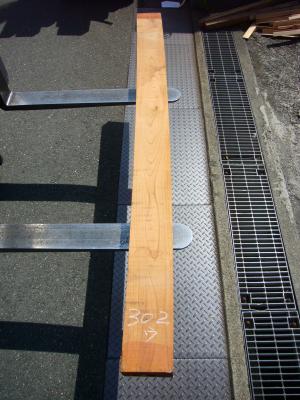 ケヤキ　TK-302