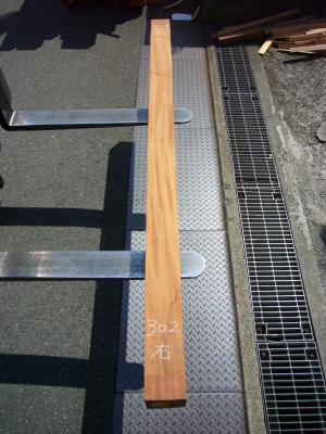 ケヤキ　TK-302