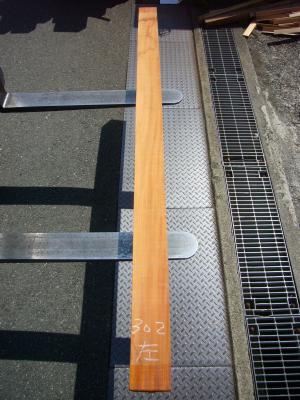 ケヤキ　TK-302