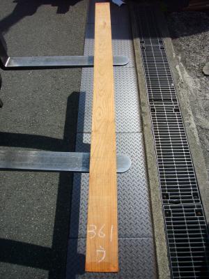 ケヤキ　TK-361