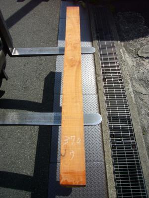 ケヤキ　TK-370