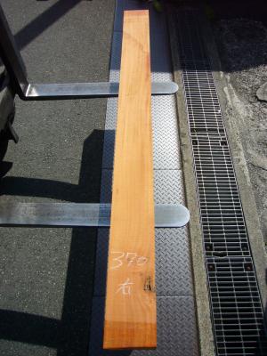 ケヤキ　TK-370