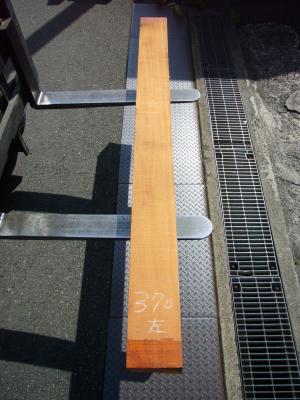 ケヤキ　TK-370