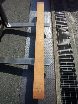 ケヤキ　TK-376
