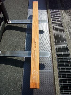 ケヤキ　TK-376