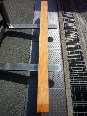 ケヤキ　TK-376