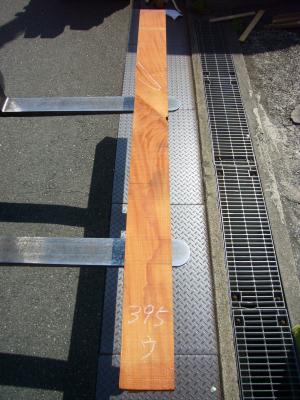ケヤキ　TK-395