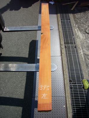 ケヤキ　TK-395