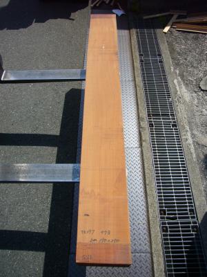ケヤキ　TK-397