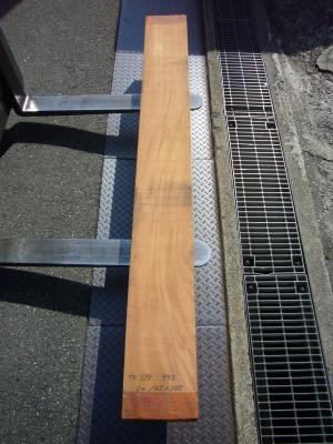 ケヤキ　TK-398