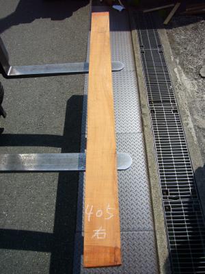 ケヤキ　TK-405