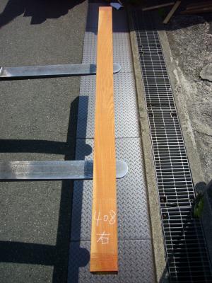ケヤキ　TK-408