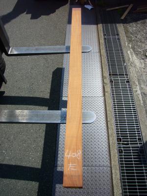 ケヤキ　TK-408