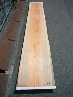 杉　TS-1054