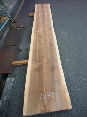 杉　TS-1038