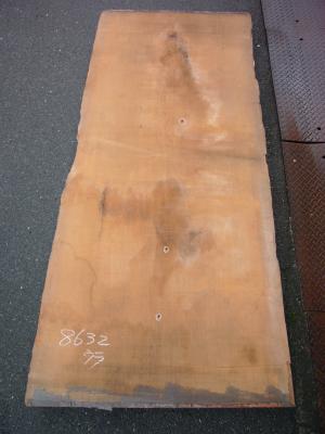 チーク　8632