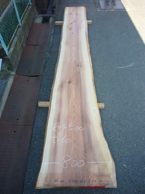 杉 455060　
