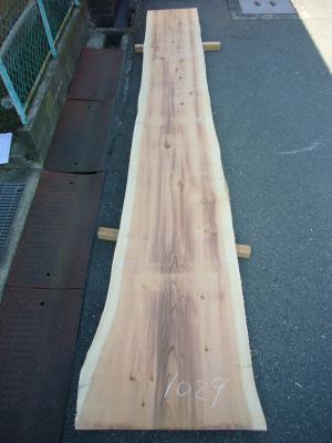 杉 455060　