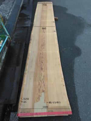 杉　TS-1065