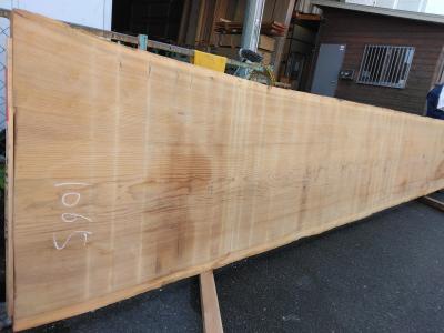 杉　TS-1065